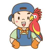 ขายนก.com เว็บไซต์รีวิวฟาร์มนก ผู้เพาะเลี้ยงนก และความรู้ด้านการเลี้ยงนก โดย Farmland Commerce