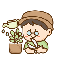 ขายต้นไม้.com เว็บไซต์รีวิวร้านขายต้นไม้ใกล้กรุงเทพ และแหล่งซื้อต้นไม้ โดย Farmland Commerce