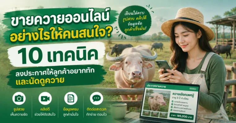 ประกาศขายควายออนไลน์อย่างไรให้คนสนใจ? 10 เทคนิคลงประกาศให้ลูกค้าอยากทักและนัดดูควาย ขายควาย.com